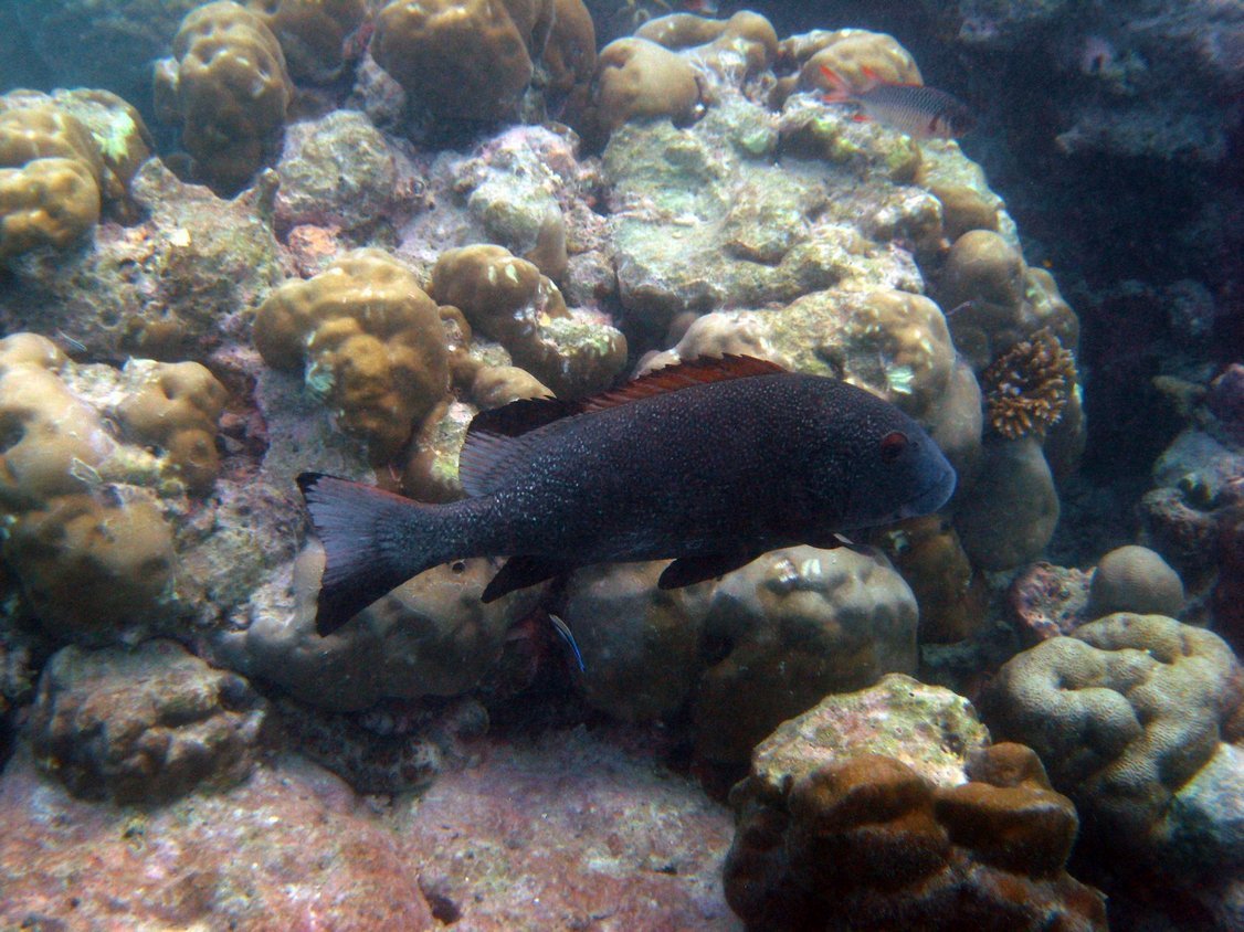 Photo00135
